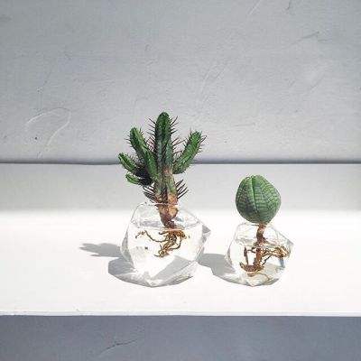 电子mg官方网站